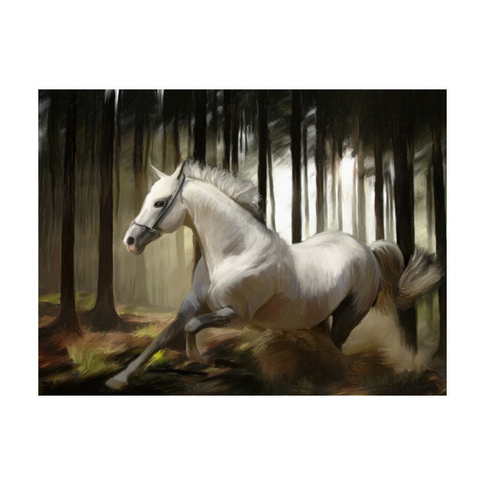 Fototapet vlies - White chase - 300 x 231 cm