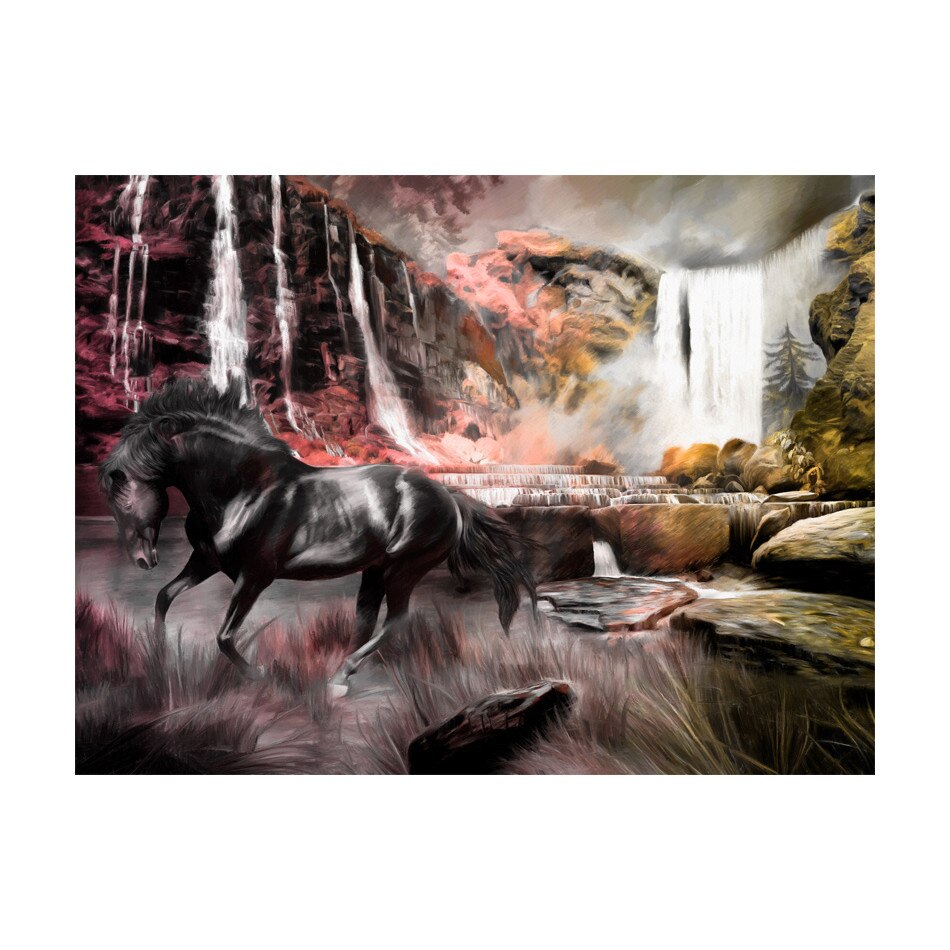 Fototapet vlies - Cal negru de o cascada - 250 x 193 cm
