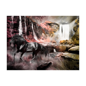 Fototapet vlies - Cal negru de o cascada - 250 x 193 cm Fototapet vlies - Cal negru de o cascada - 250 x 193 cm