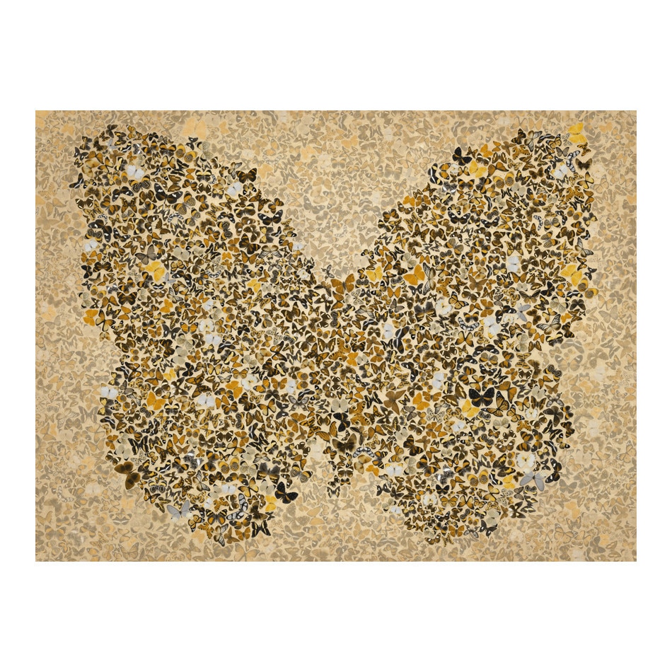 Fototapet vlies - Doamna Butterfly - 300 x 231 cm