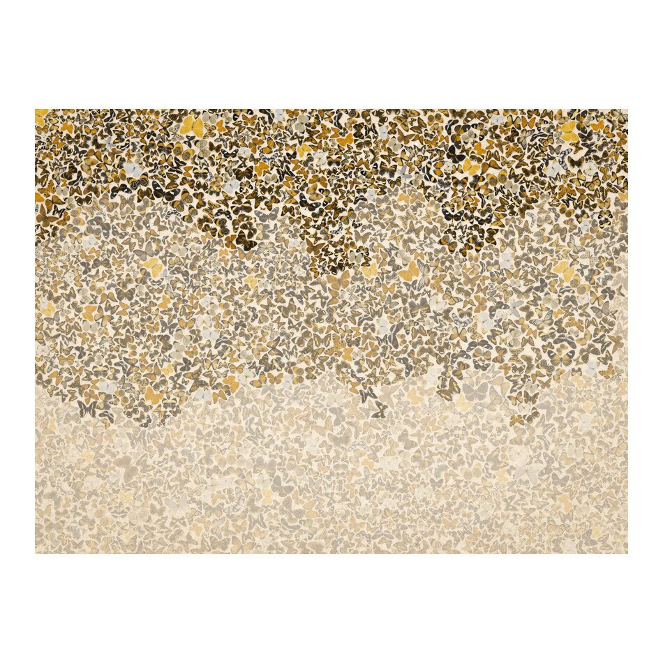 Fototapet vlies - Arta si fluturi - 300 x 231 cm