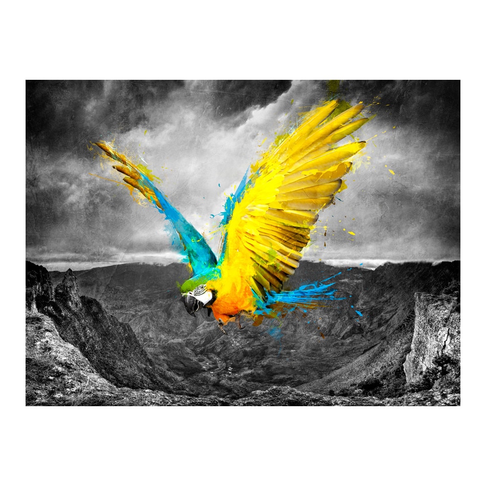 Fototapet vlies - Papagal exotic - 250 x 193 cm