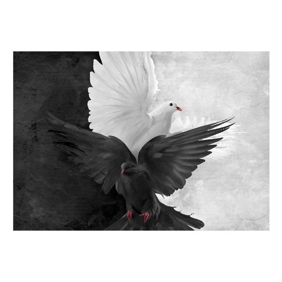 Fototapet vlies - Bun vs rau - 400 x 309 cm