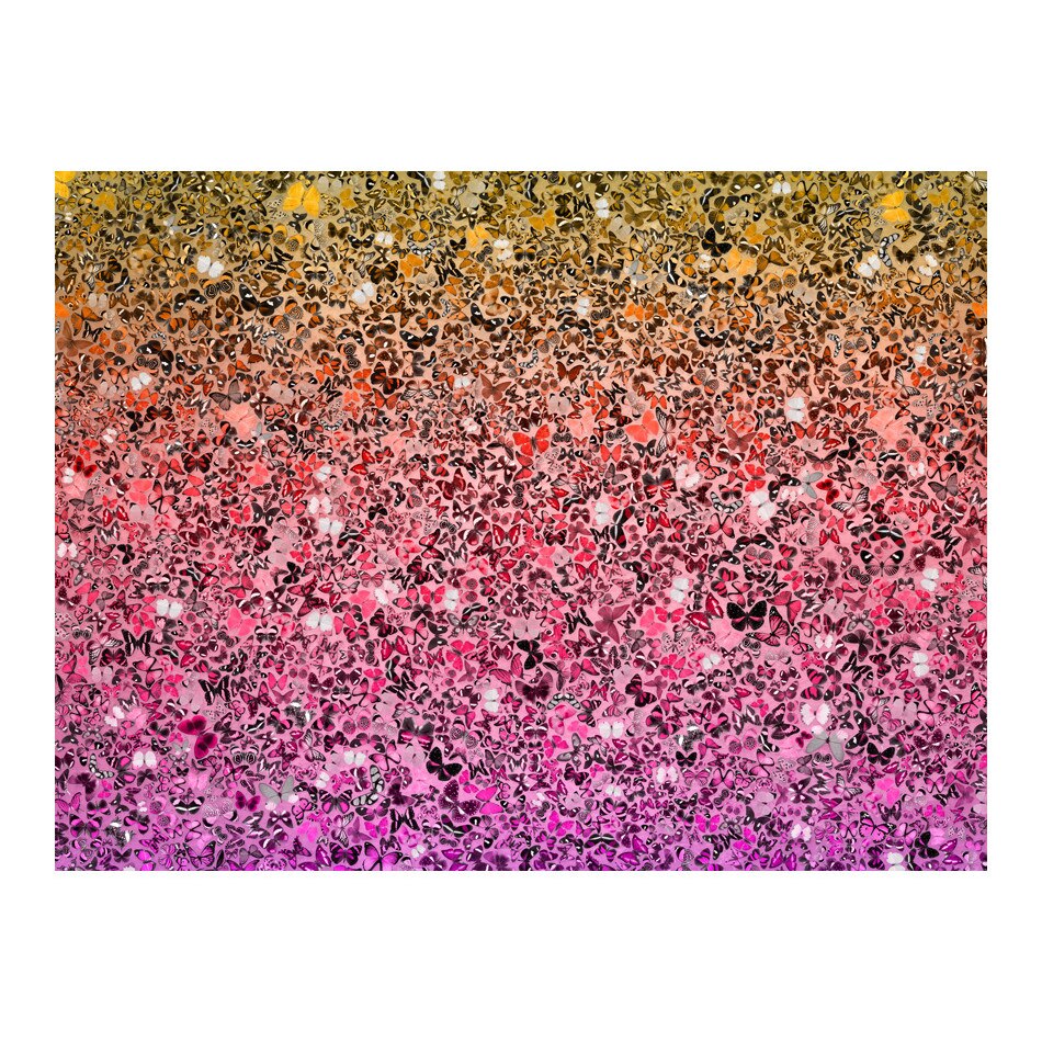 Fototapet vlies - Limba fluturilor - 250 x 193 cm