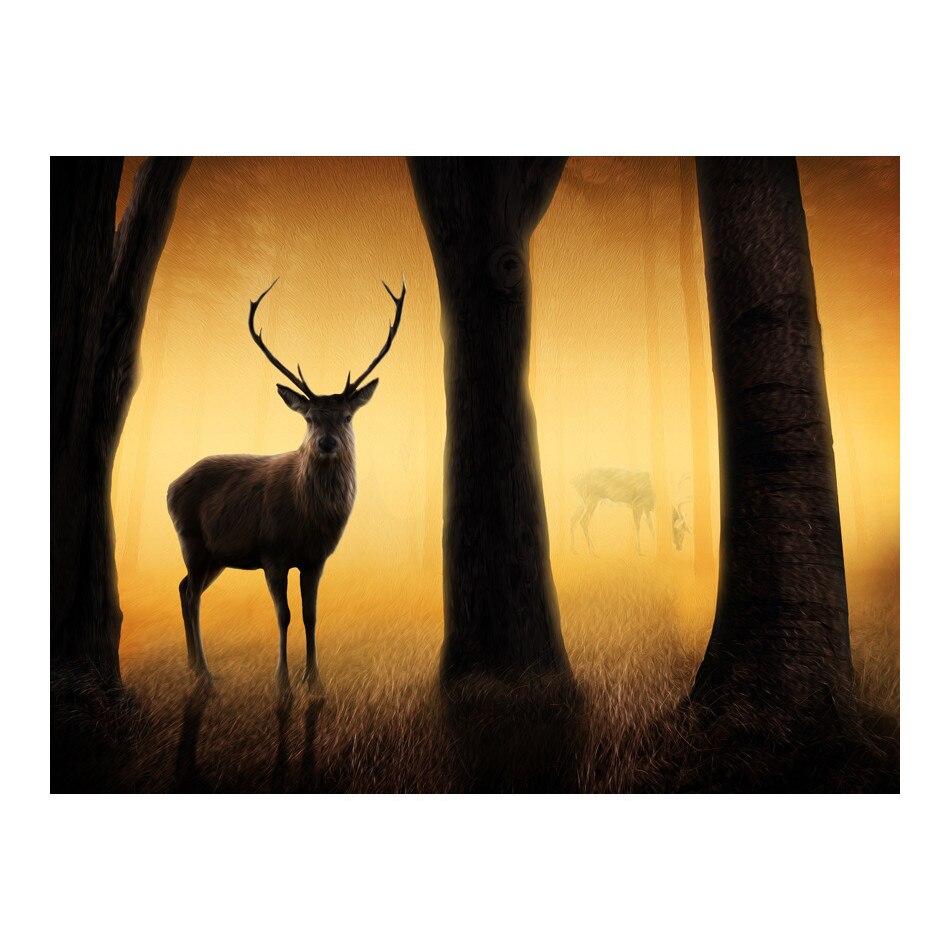 Fototapet vlies - Deer in habitatul sau natural - 250 x 193 cm