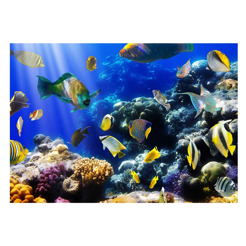 Fototapet vlies - Aventura subacvatica - 200 x 140 cm