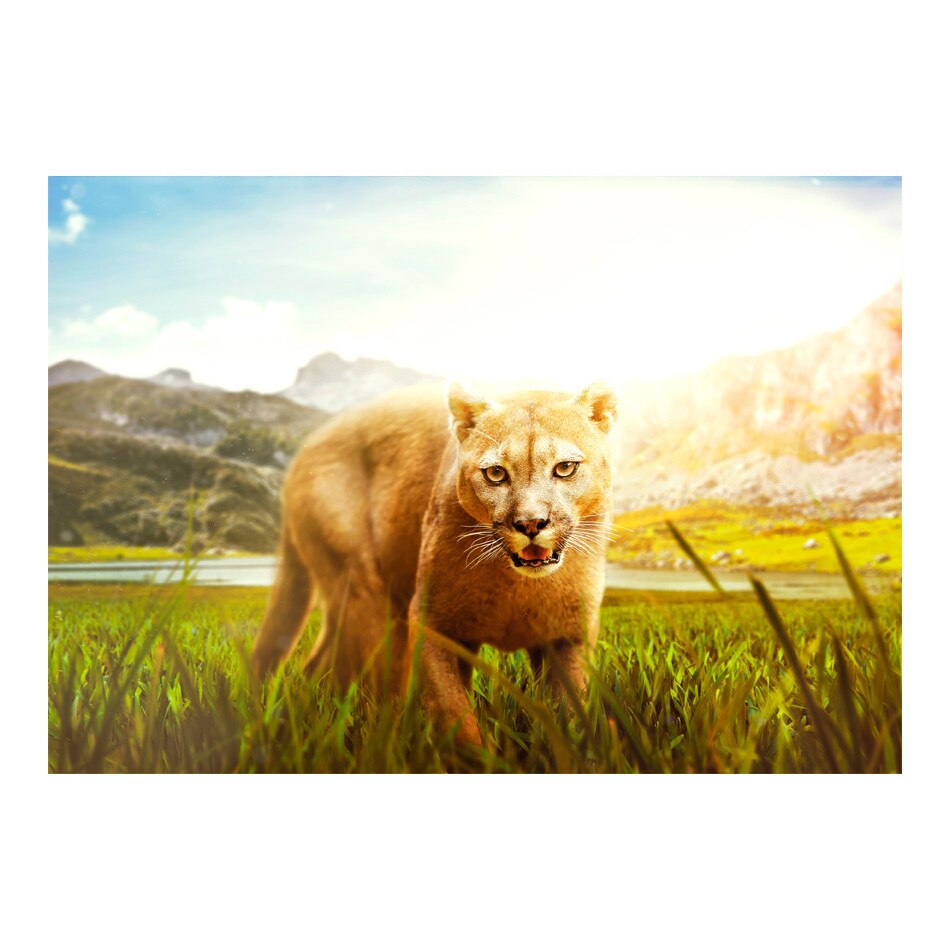 Fototapet vlies - Ai grija! - 100 x 70 cm