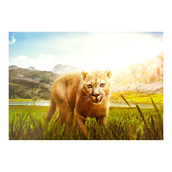 Fototapet vlies - Ai grija! - 100 x 70 cm Fototapet vlies - Ai grija! - 100 x 70 cm