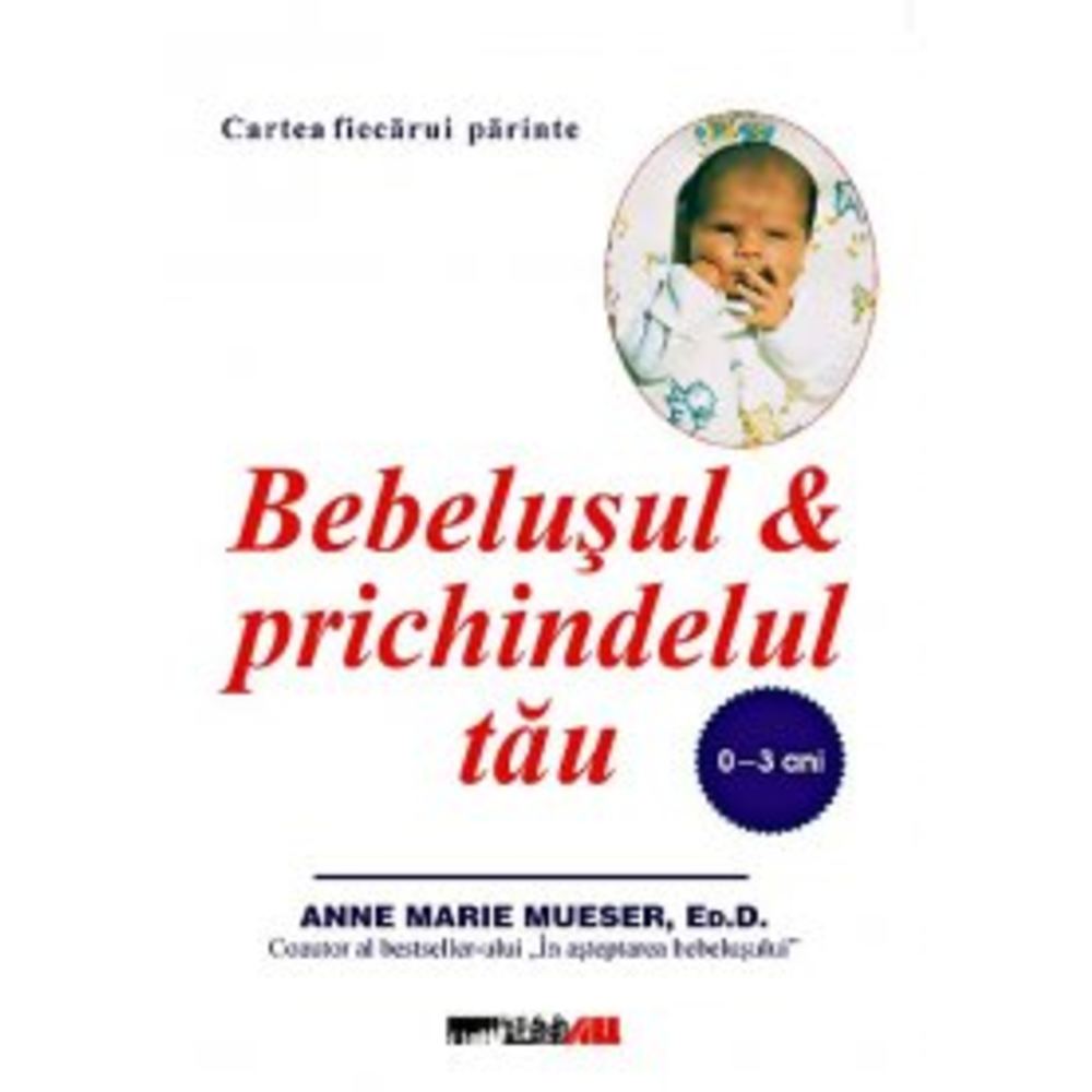 Bebelusul Si Prichindelul Tau - Anne Marie Mueser