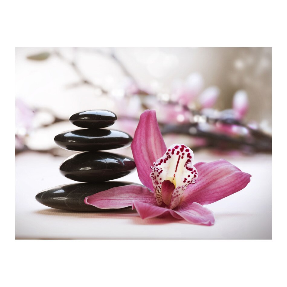 Fototapet vlies - Relaxare si wellness - 350 x 270 cm