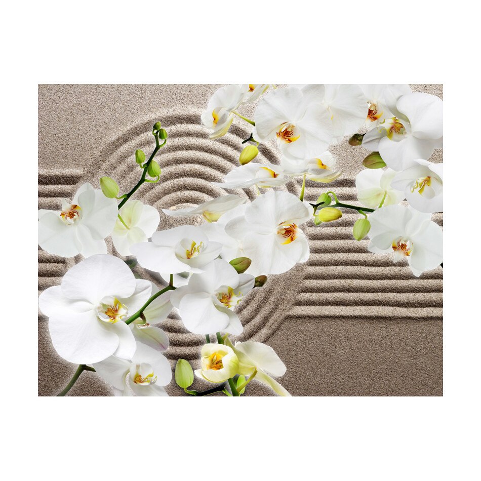 Fototapet vlies - Gradina frumoasa Zen - 250 x 193 cm