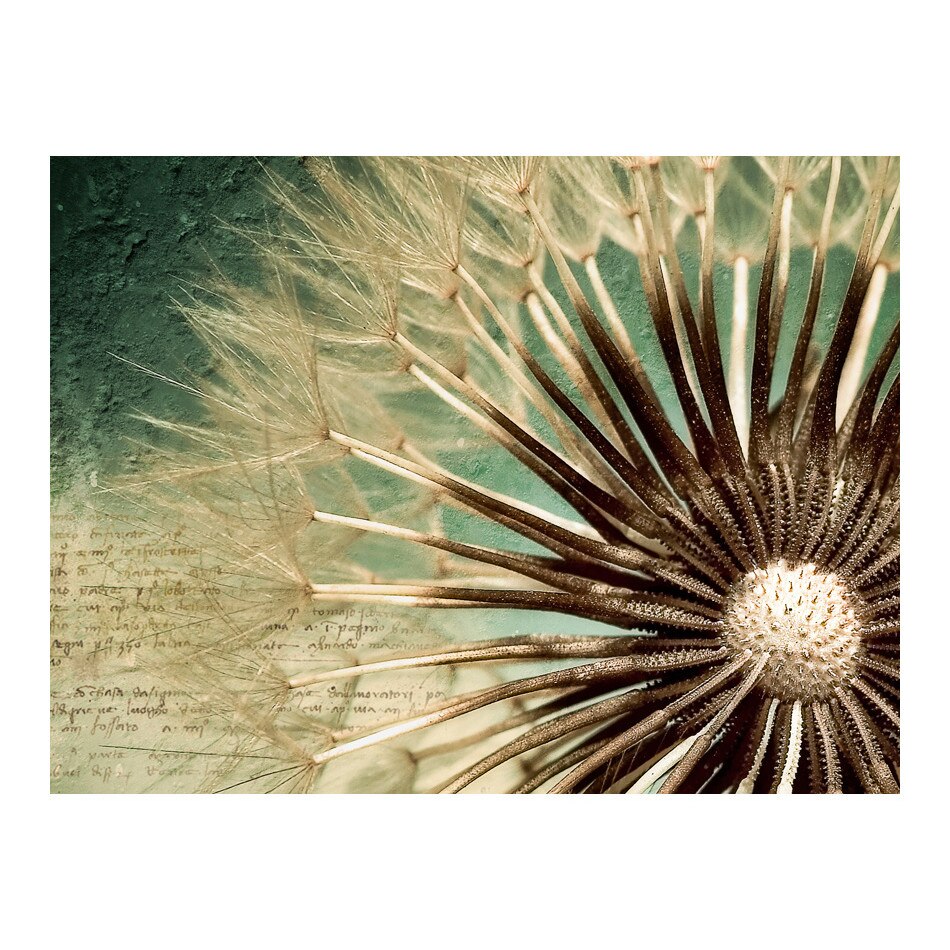Fototapet vlies - Concentrati pe papadie - 400 x 309 cm