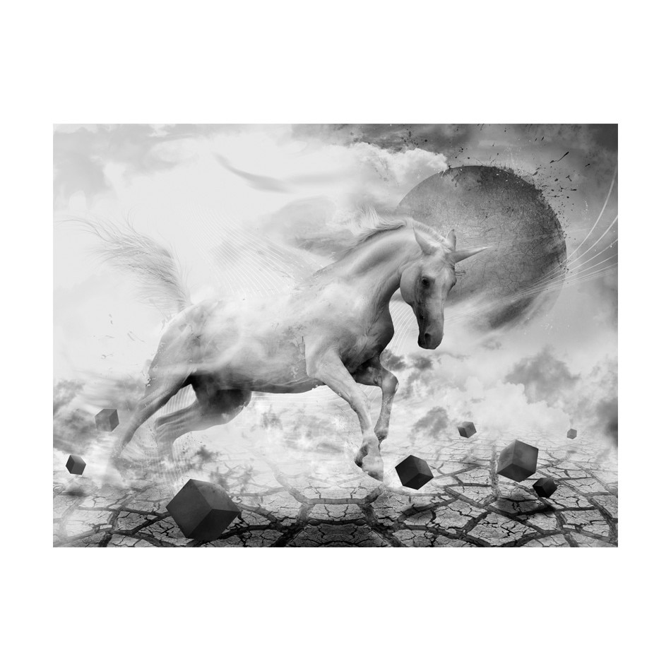 Fototapet vlies - Inorog - 250 x 193 cm