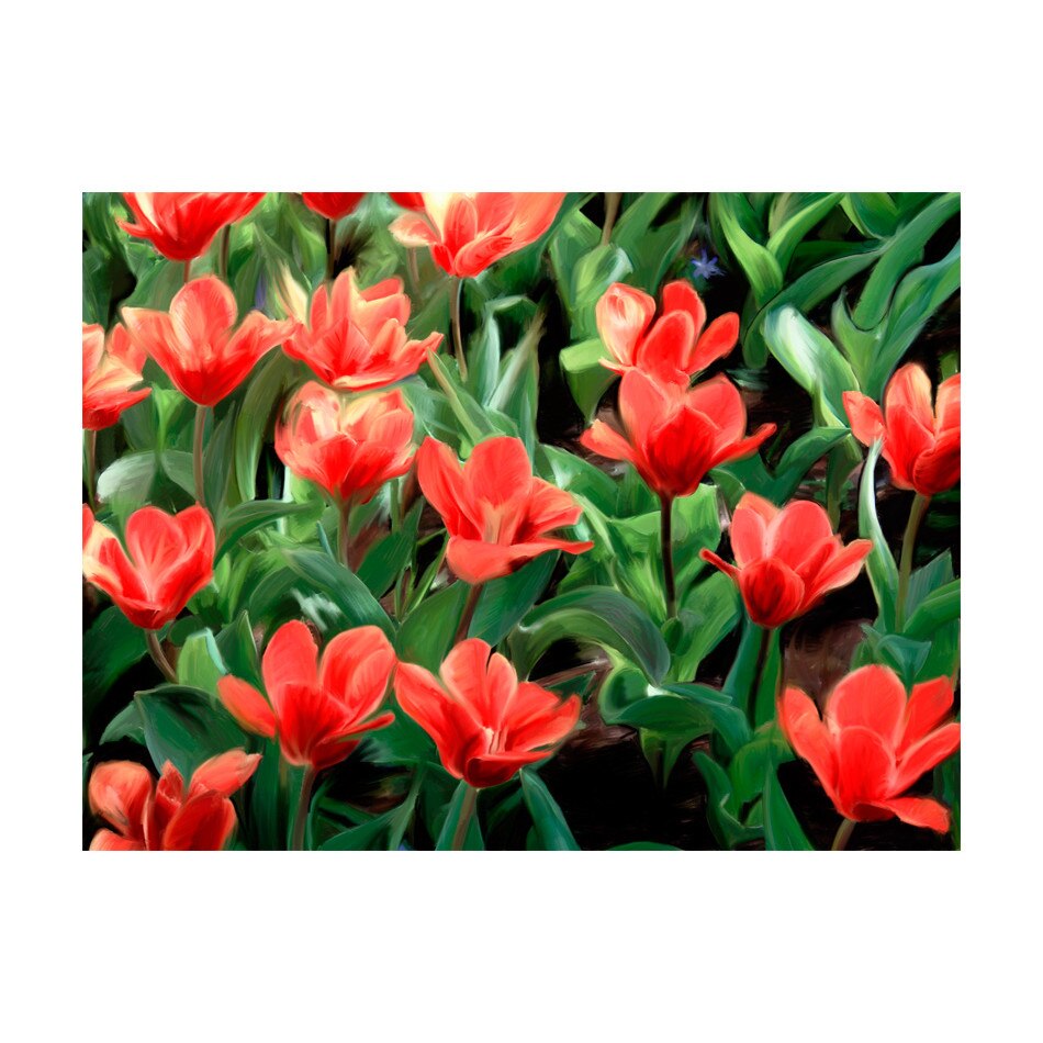 Fototapet vlies - Flori vopsite - 300 x 231 cm