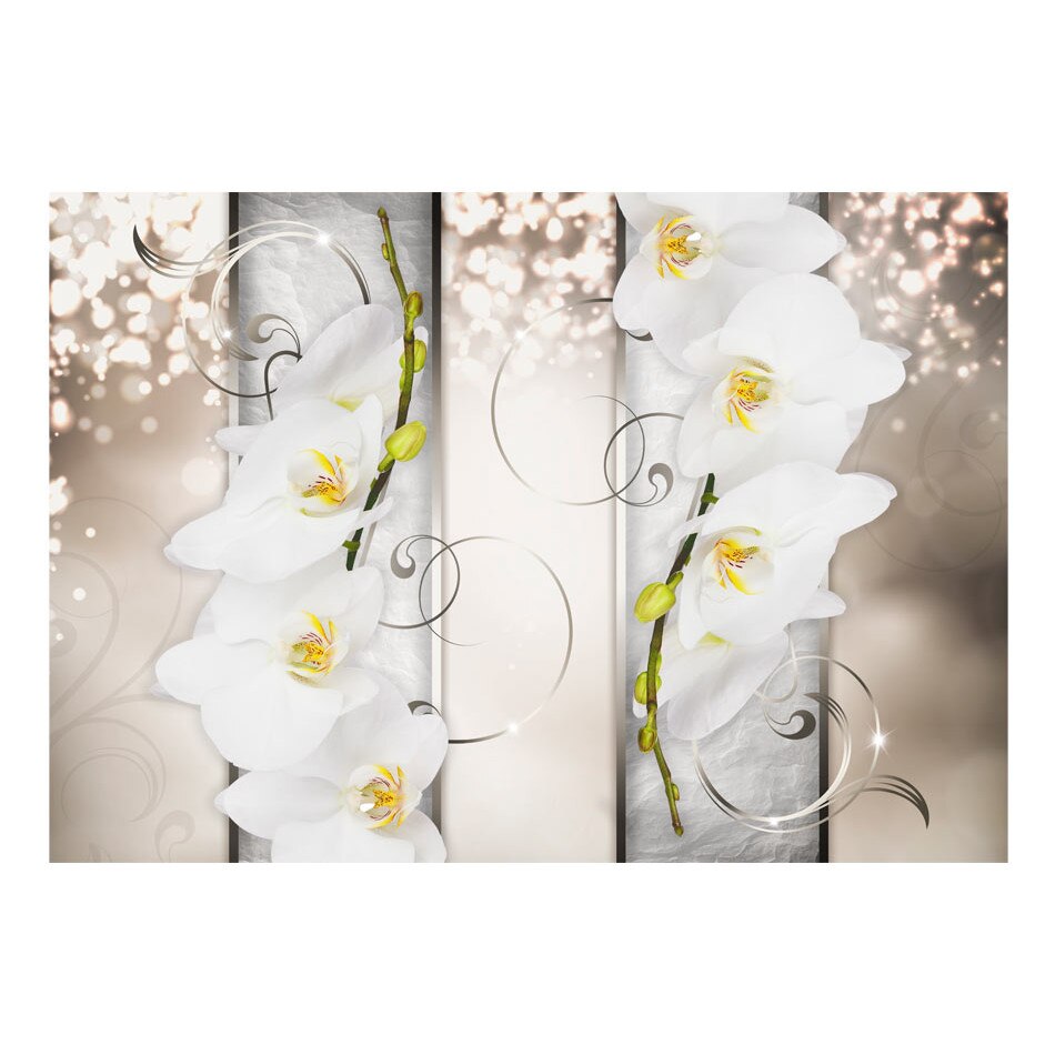 Fototapet vlies - Duet sofisticat - 400 x 280 cm