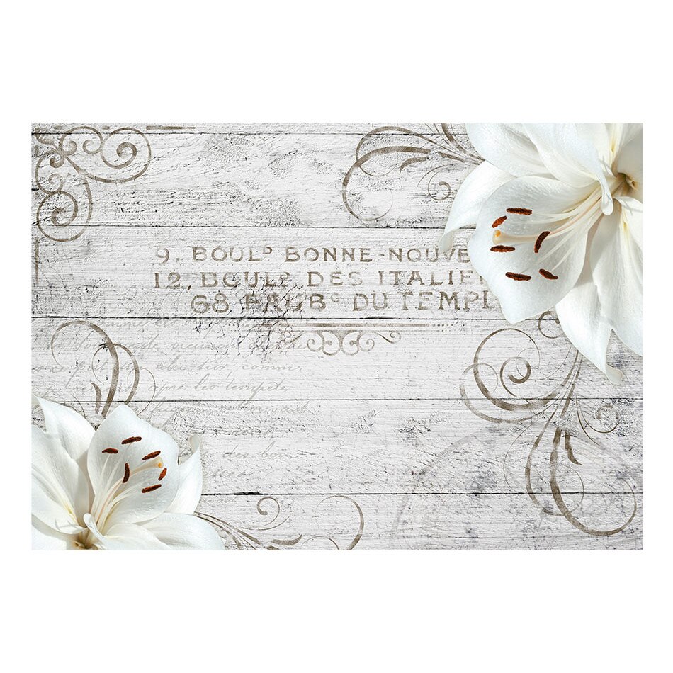 Fototapet vlies - Bonne Nouvelle - 350 x 245 cm