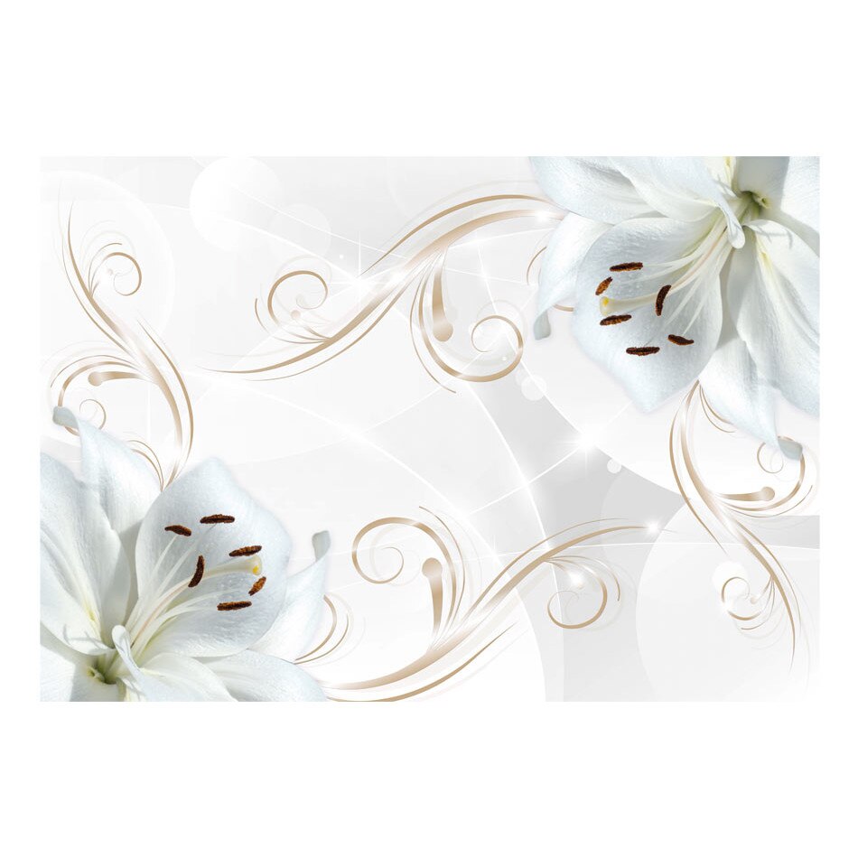 Fototapet vlies - Dansatoare albe - 400 x 280 cm