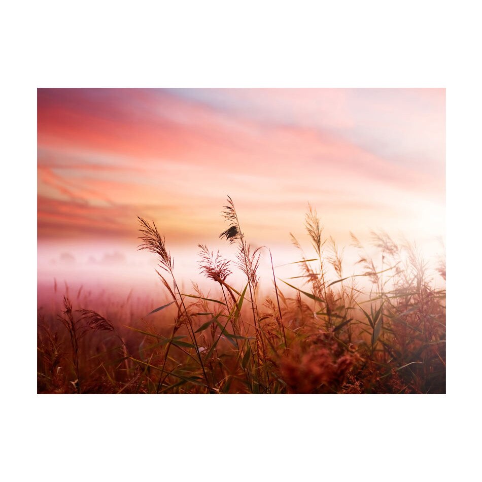 Fototapet vlies - Lunca dimineata - 350 x 270 cm
