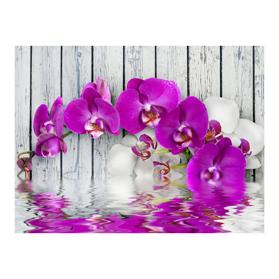 Fototapet vlies - Violet orhidee cu reflexie de apa - 300 x 231 cm