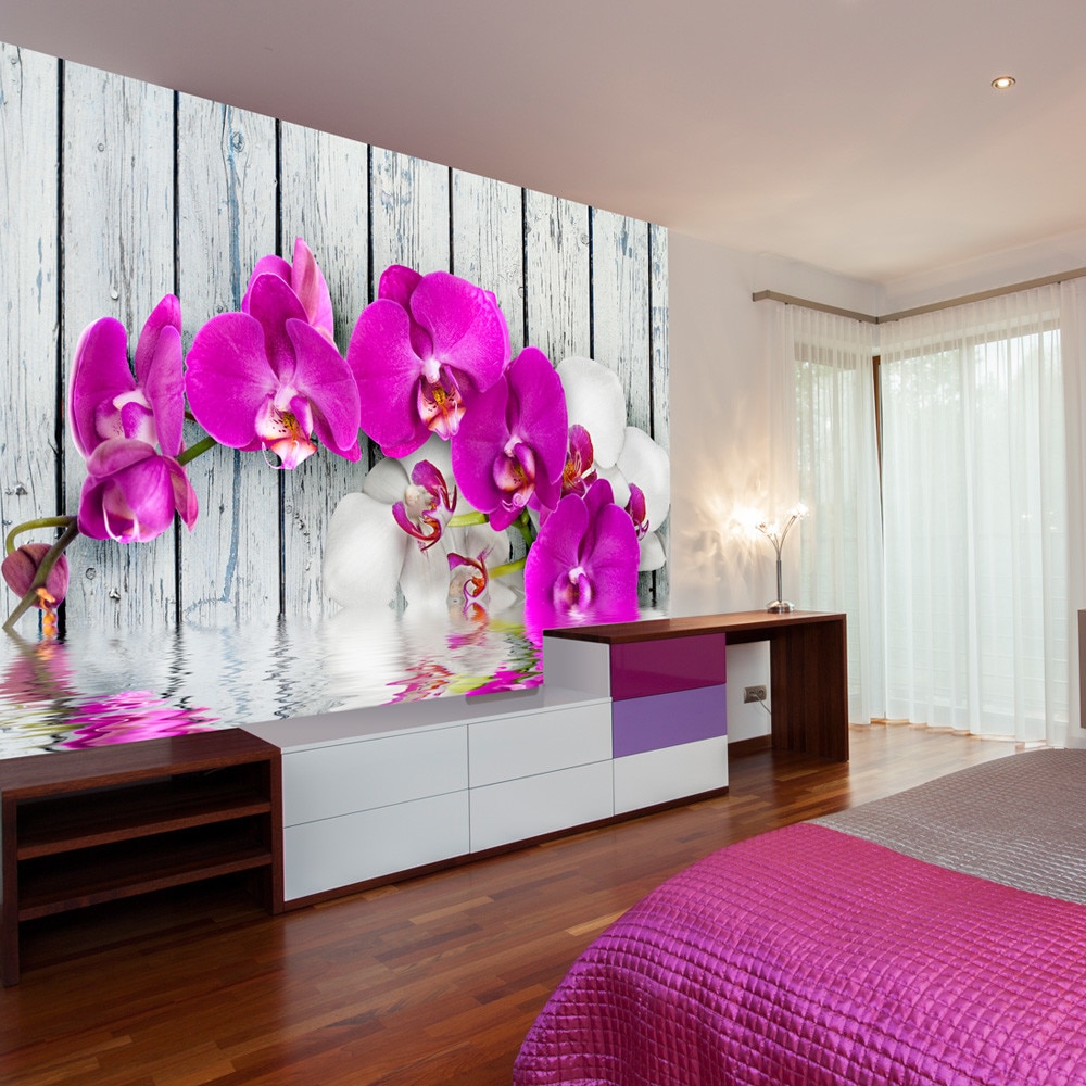 Fototapet vlies - Violet orchids with water reflexion - 350 x 270 cm