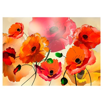 Fototapet vlies - Velvet Poppies - 250 x 175 cm Fototapet vlies - Velvet Poppies - 250 x 175 cm