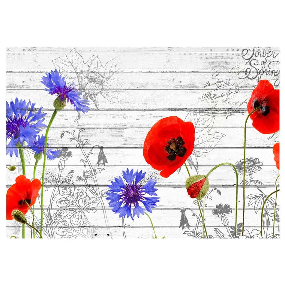 Fototapet vlies - Wildflowers - 400 x 280 cm