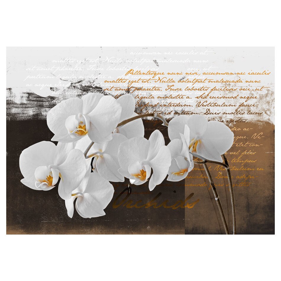 Fototapet vlies - Sentimentale ganduri - 300 x 210 cm