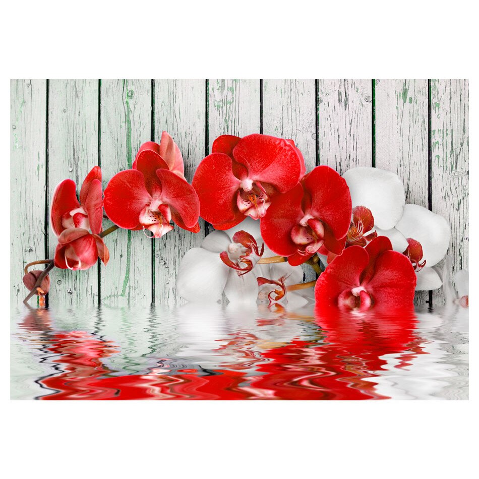 Fototapet vlies - Rubida orhidee - 200 x 140 cm