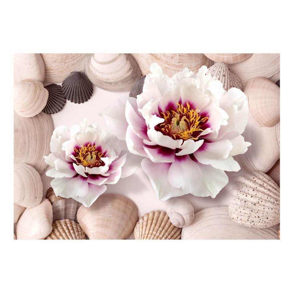 Fototapet vlies - Flori si cochilii - 400 x 280 cm