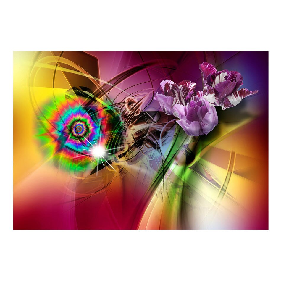 Fototapet vlies - Lumina magica a culorilor - 300 x 210 cm
