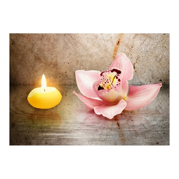 Fototapet vlies - Sarbatoarea romantica - 400 x 280 cm Fototapet vlies - Sarbatoarea romantica - 400 x 280 cm