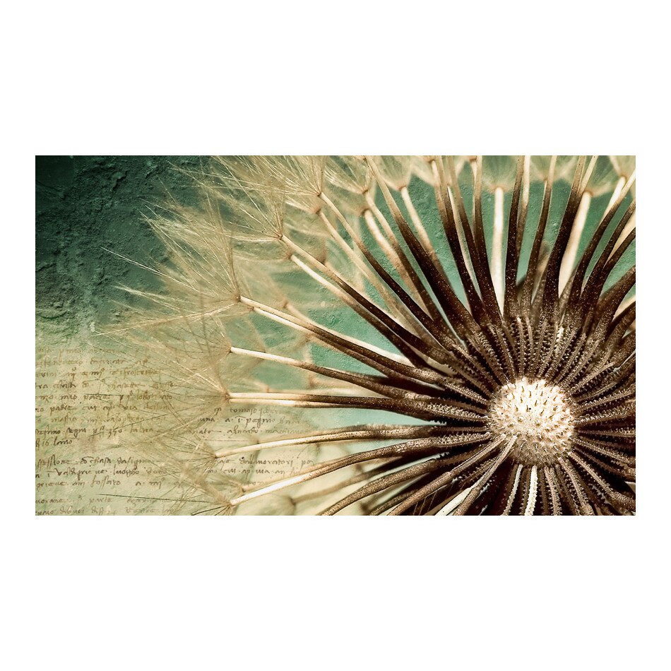 Fototapet vlies - Povestea verii - 450 x 270 cm