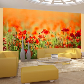 Fototapet vlies - Poppies in shiny summer day - 450 x 270 cm Fototapet vlies - Poppies in shiny summer day - 450 x 270 cm