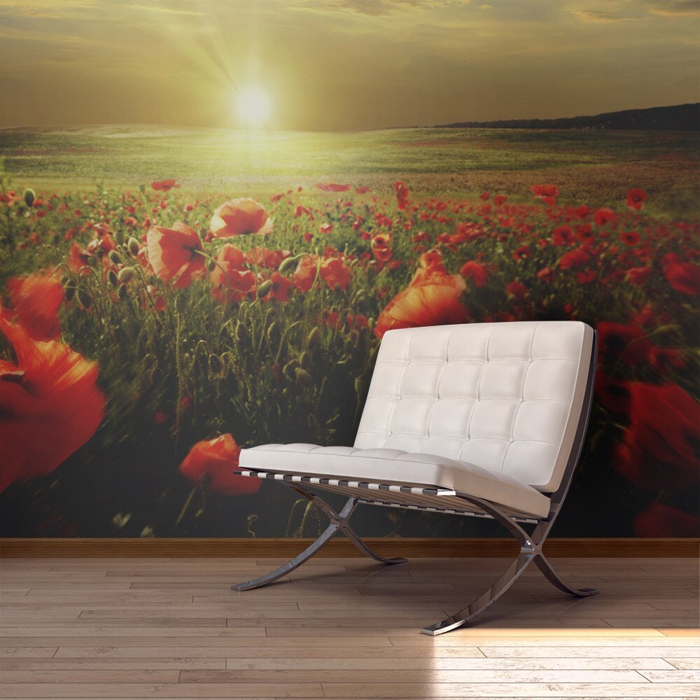 Fototapet vlies - Morning on the poppy meadow - 450 x 270 cm