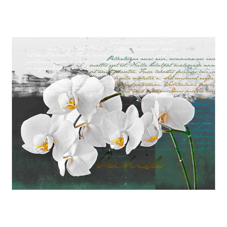 Fototapet vlies - Inspiratia poetului orhidee - 250 x 193 cm