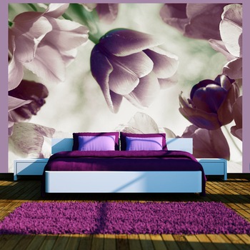Fototapet vlies - Heavenly tulips - 350 x 270 cm Fototapet vlies - Heavenly tulips - 350 x 270 cm