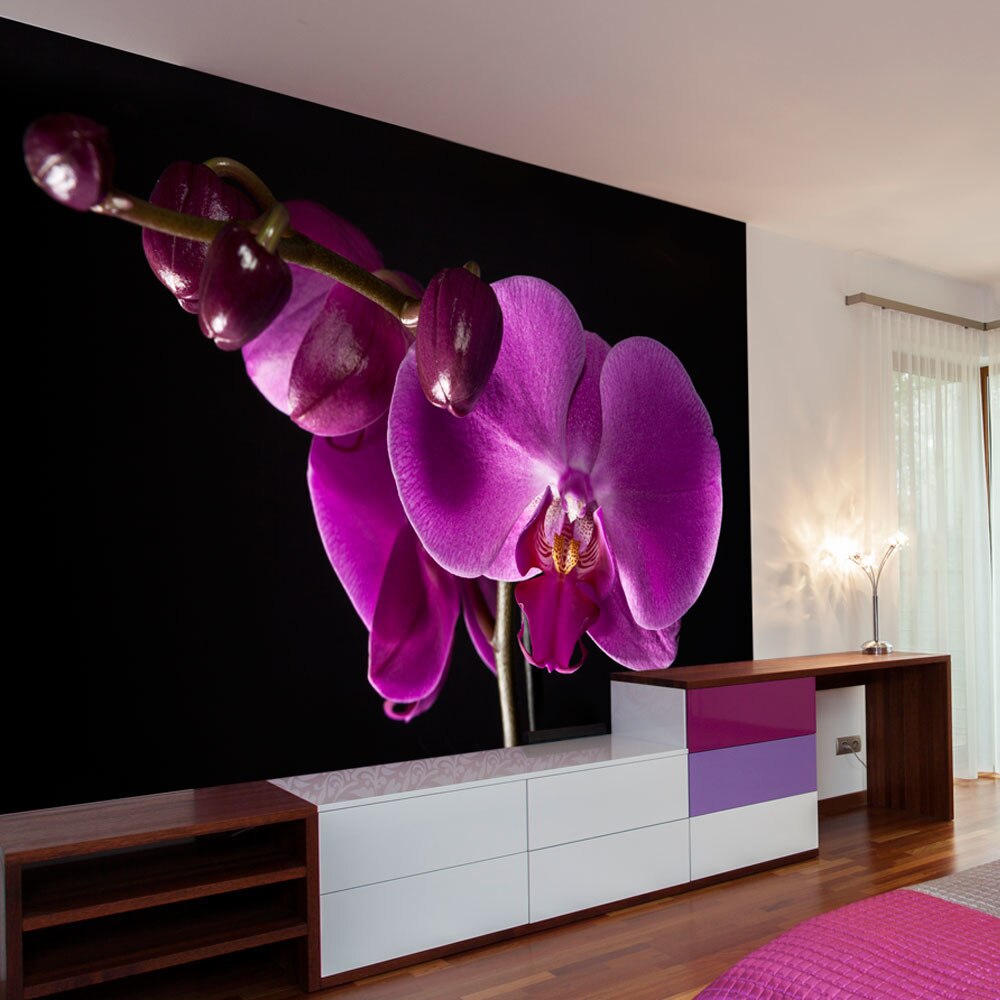 Fototapet vlies - elegant orchis - 350 x 270 cm