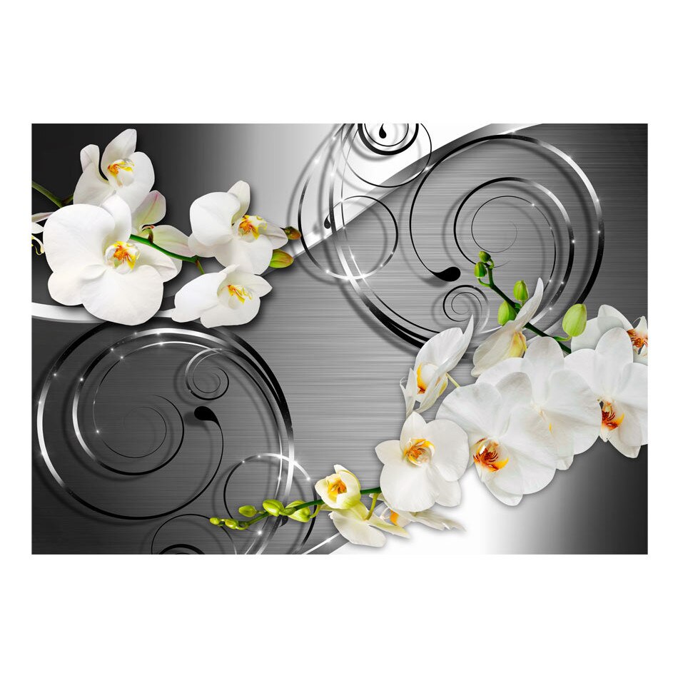 Fototapet vlies - Expectativa - 350 x 245 cm