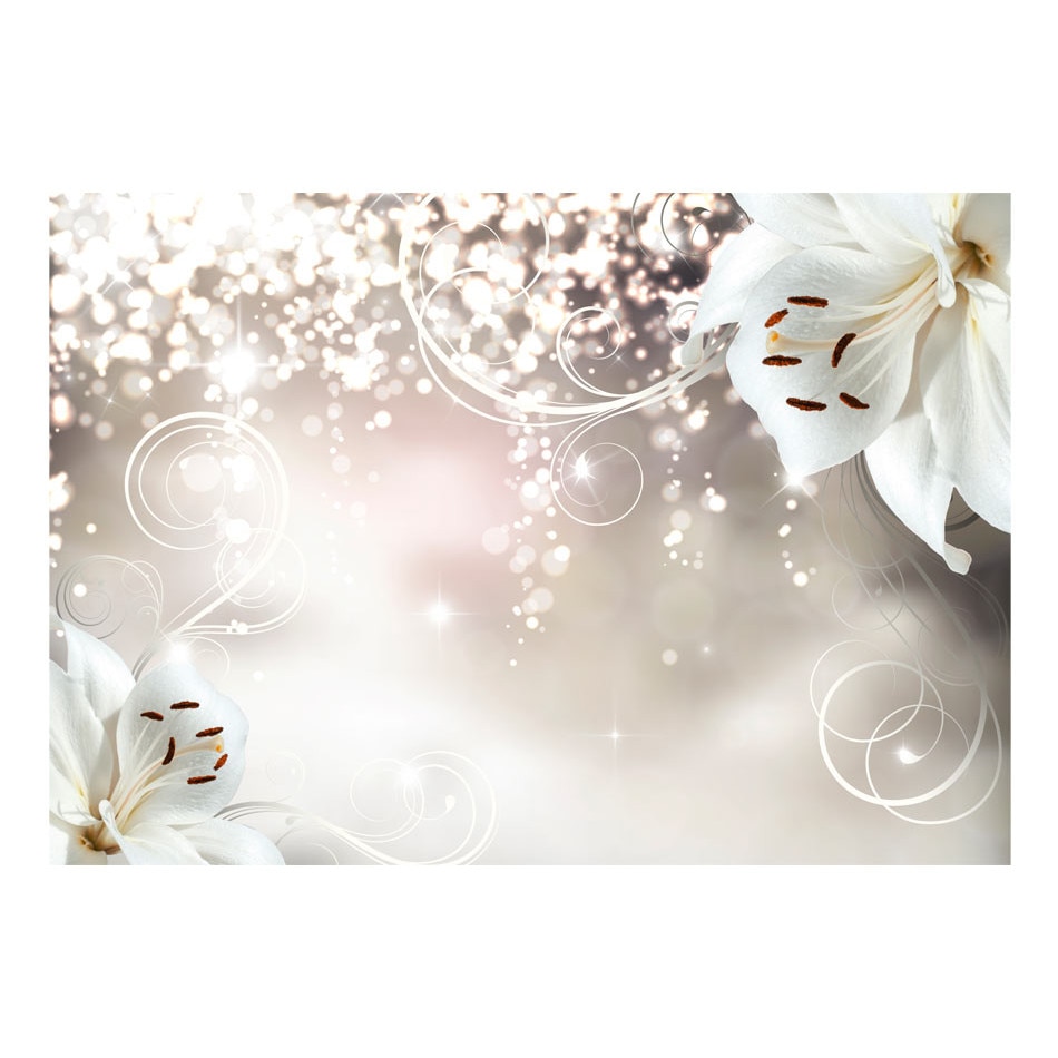 Fototapet vlies - Compozitie magica - 350 x 245 cm