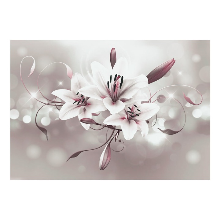 Fototapet vlies - Favorit de Kings - 100 x 70 cm