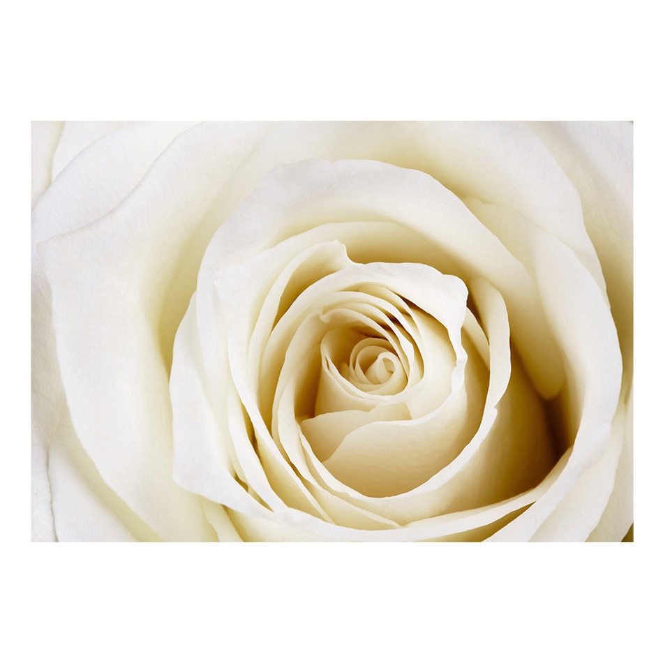 Fototapet vlies - Pearl labirint - 400 x 280 cm