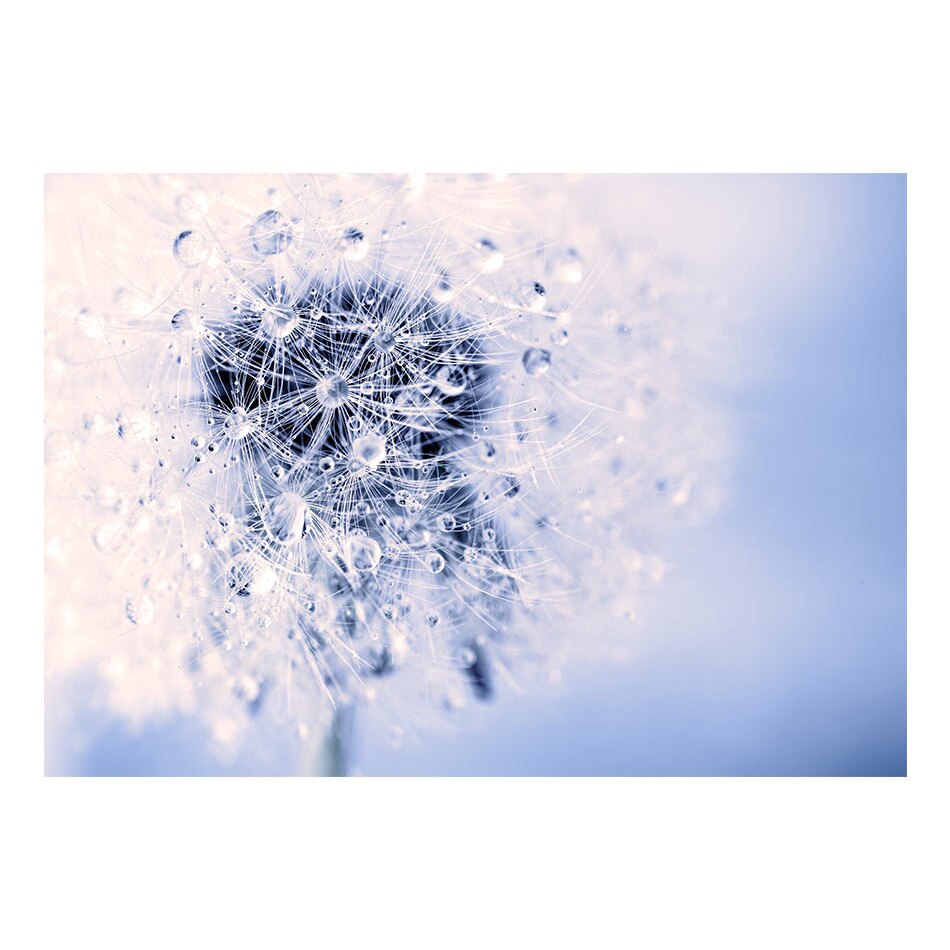 Fototapet vlies - Eternul dimineata - 400 x 280 cm