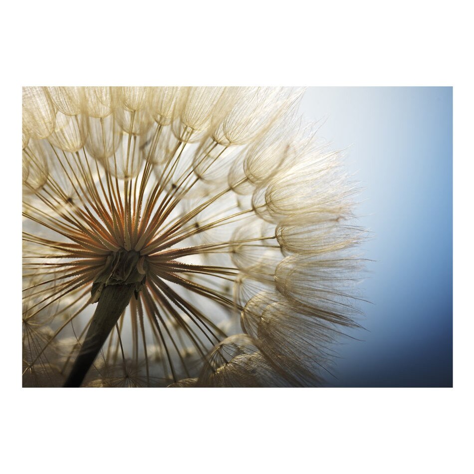 Fototapet vlies - Vara placuta - 300 x 210 cm