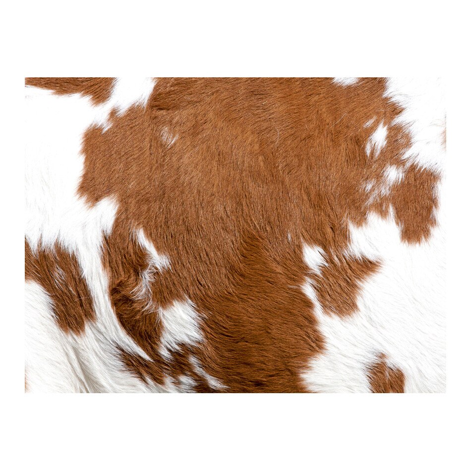 Fototapet vlies - Piele de vaca - 400 x 309 cm