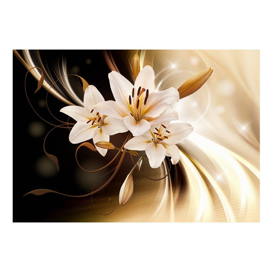 Fototapet vlies - Cerc de lumina - 300 x 210 cm