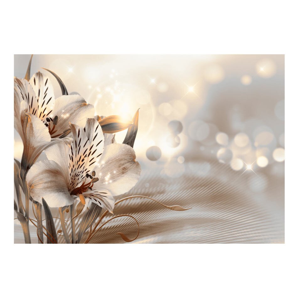 Fototapet vlies - Printesa diminetii - 300 x 210 cm