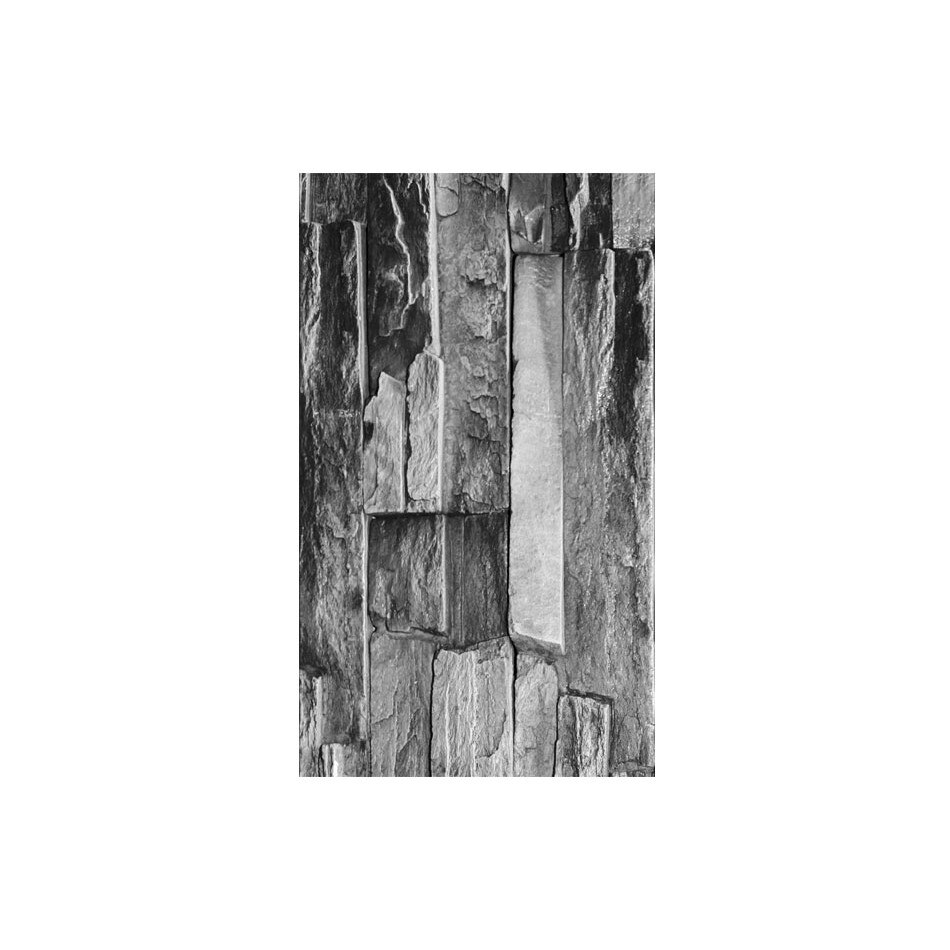 Fototapet vlies - Ploaie dimineata - 50 x 1000 cm