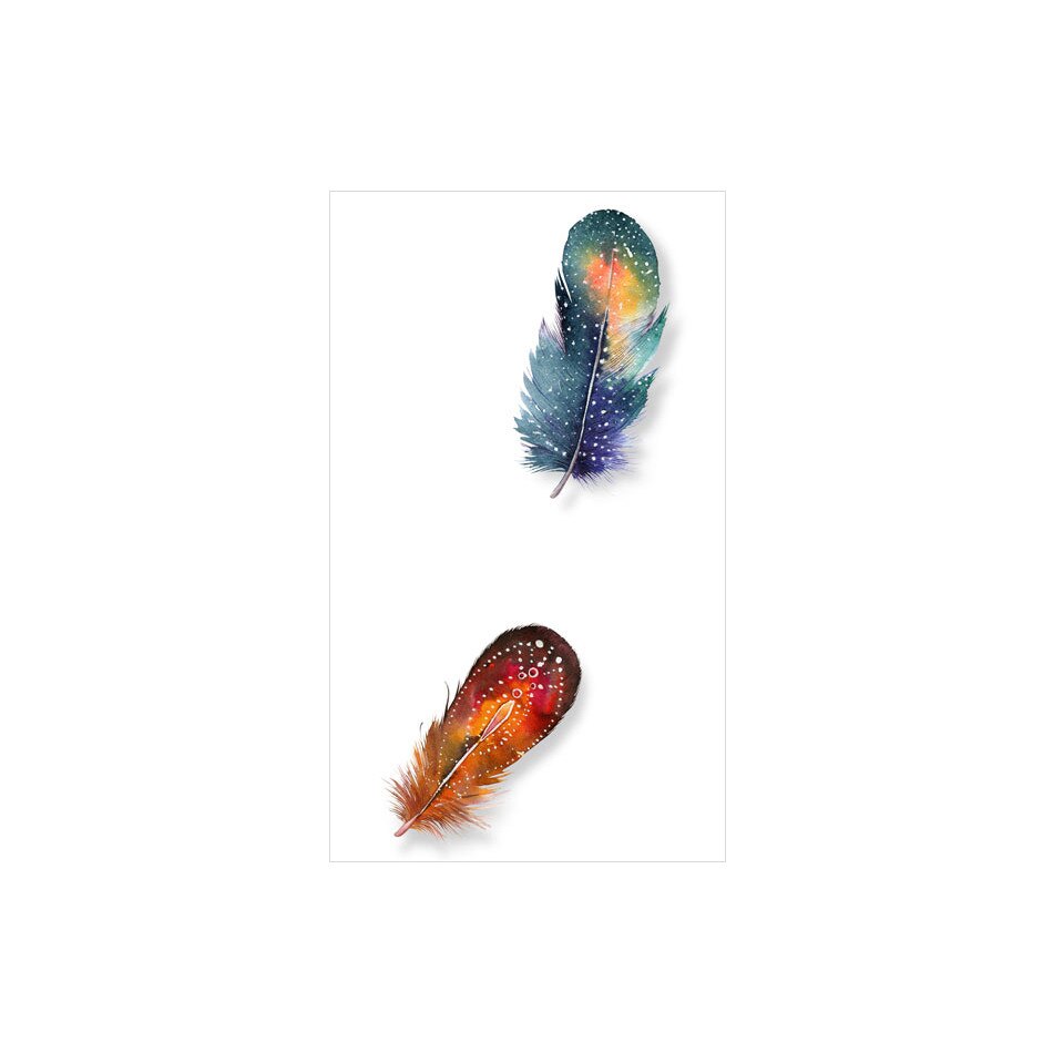 Fototapet vlies - Pene colorate - 50 x 1000 cm