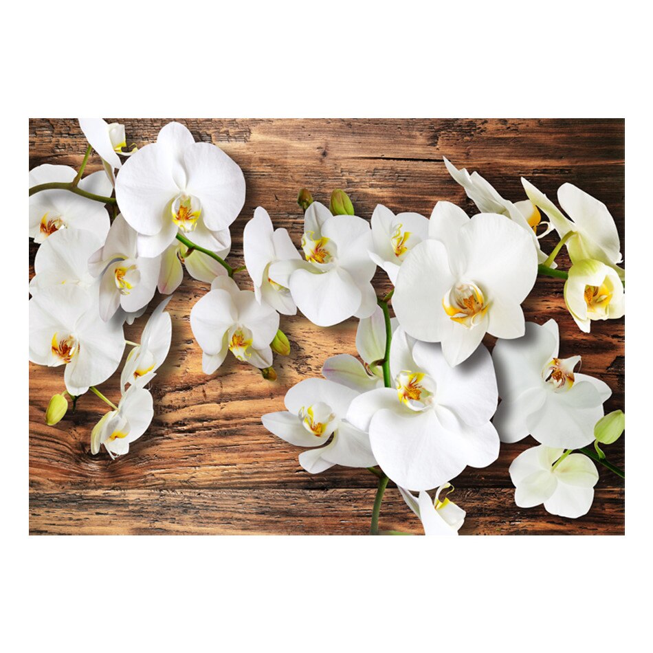 Fototapet vlies - Forest Orchid - 400 x 280 cm