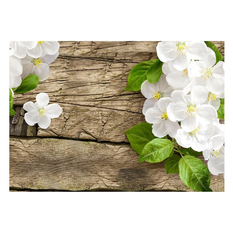 Fototapet vlies - Frumusetea bruta - 400 x 280 cm